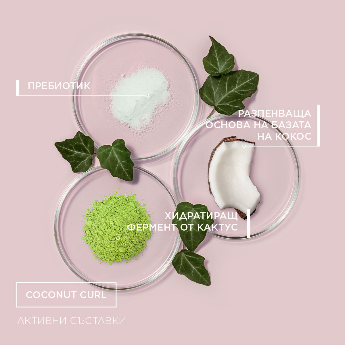 Brave New Hair Curls Mousse boucles coco 150 ml