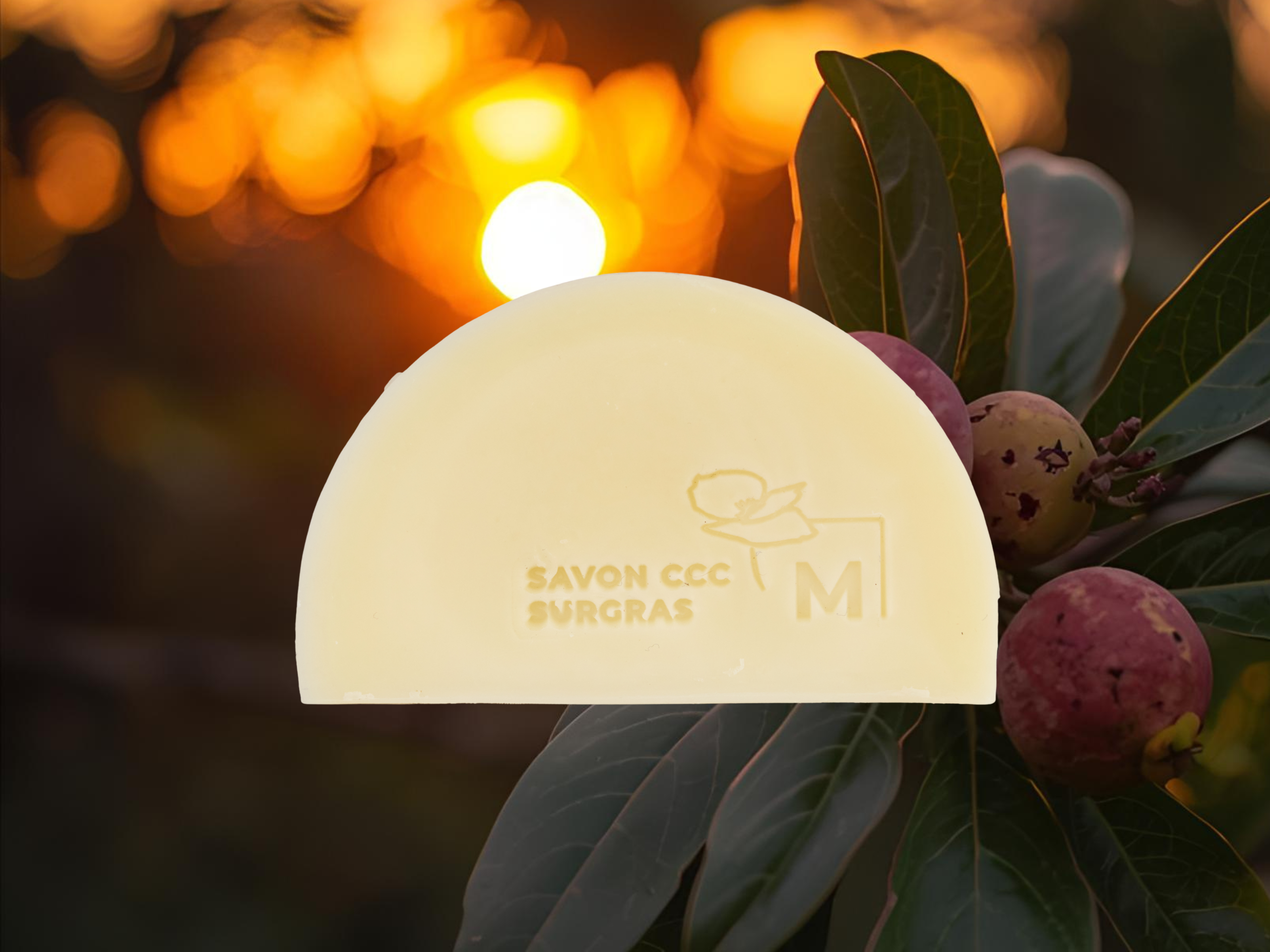 C Comme Coquelicot Savons CCC Macadamia savon solide 140 g sans parfum