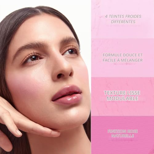 Dasique Mood Cheek 06 Berry Smoothie blush poudre modulable